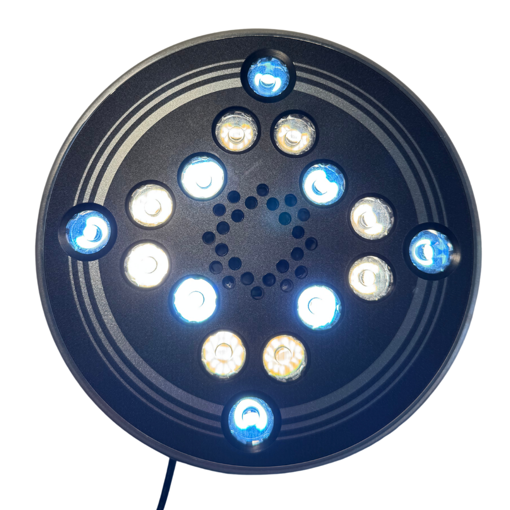 roXiva® RX1